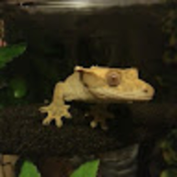 Meet your Posher, Ryan - Picture 1 of 1